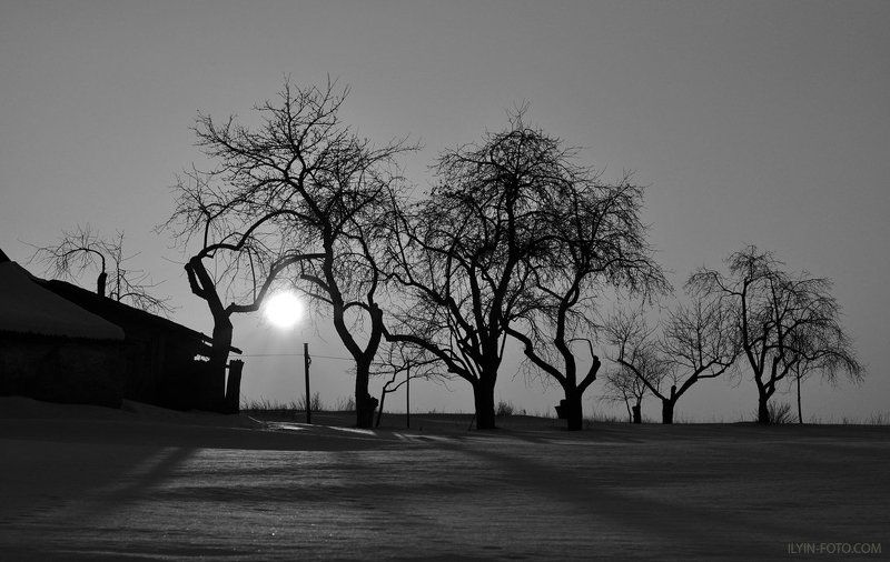 хутор,деревня,чернобелое,сад,зима,farm,village,black and white,garden,winter Хуторок фото превью