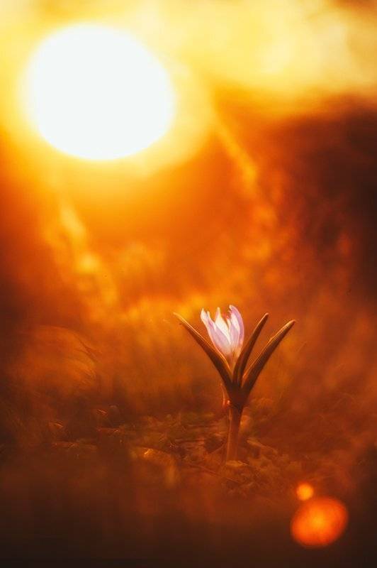 , Татьяна Аверина