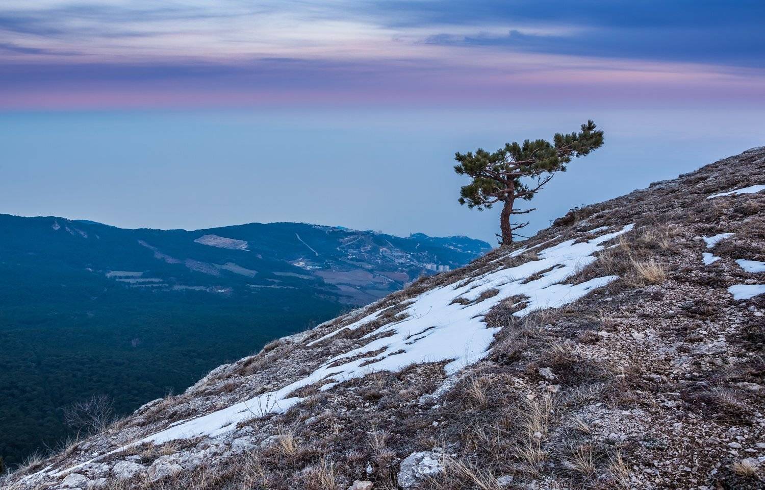 , Станислав Савицкий