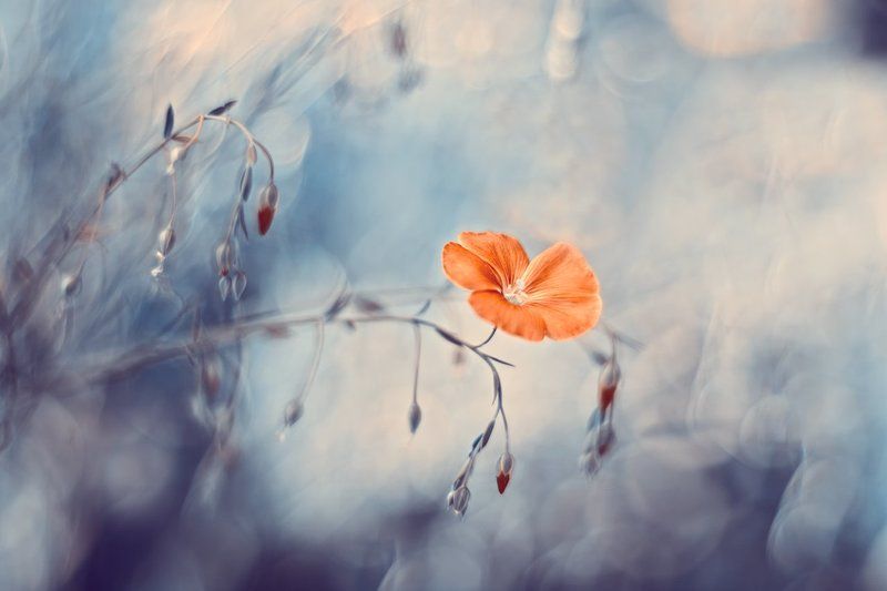 и снова лето фото превью