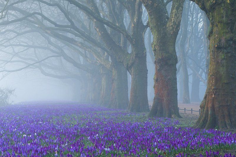 Spring