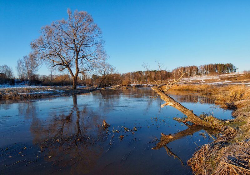 Однажды мартовским утром... фото превью