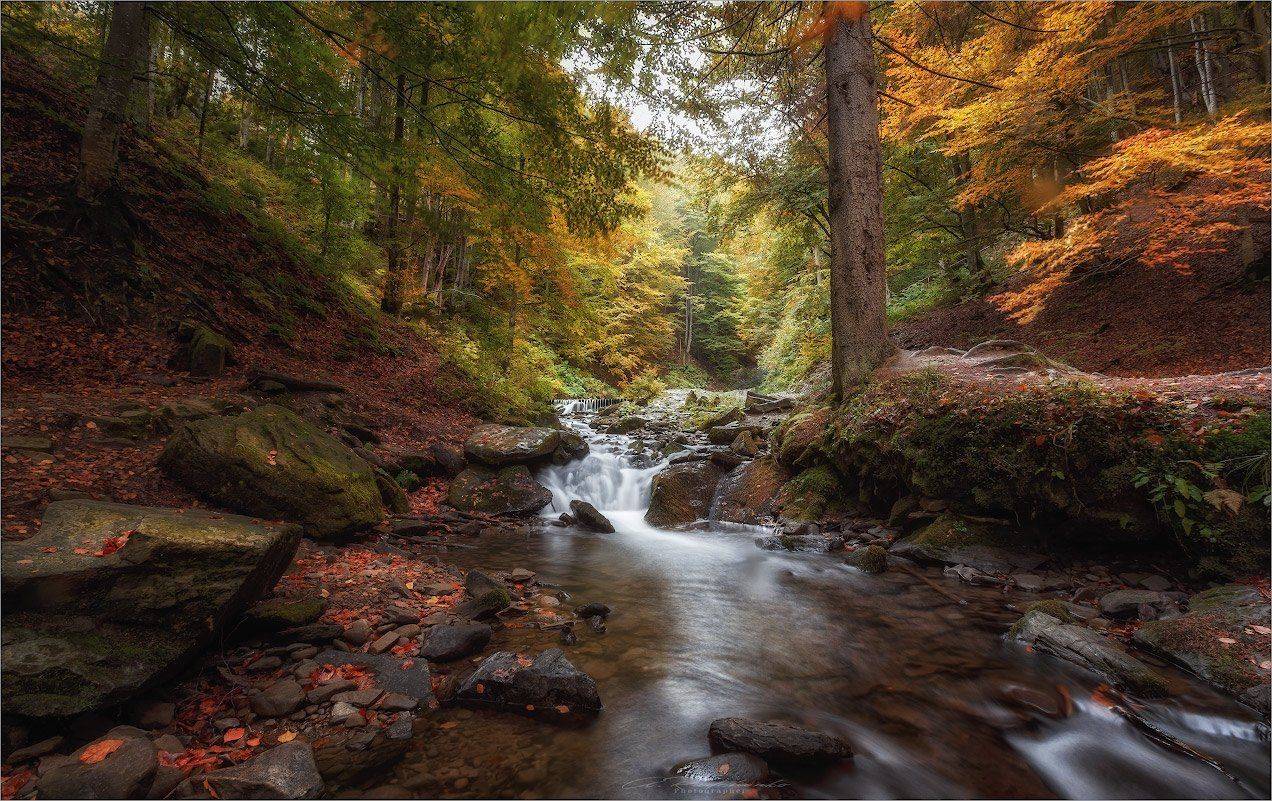 , Рудченко Анатолий