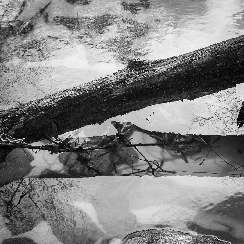 фото, отражение, весна, чб, вода, линии Rusali фото превью