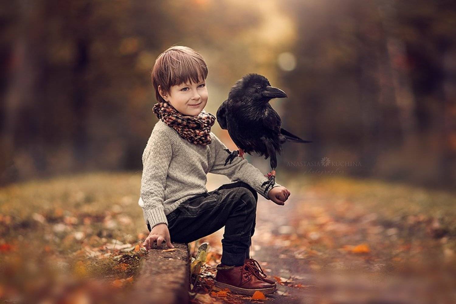 Мальчик, ребёнок, осень, ворон, Анастасия Кучина