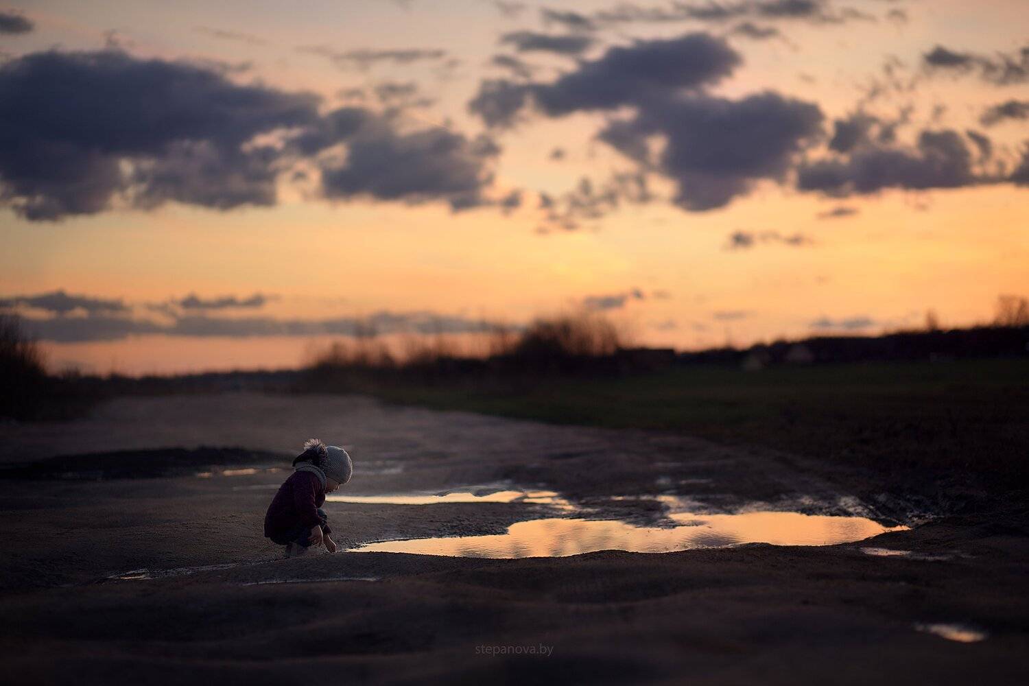 , Дарья Степанова