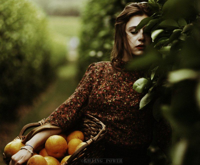 The Orange April фото превью