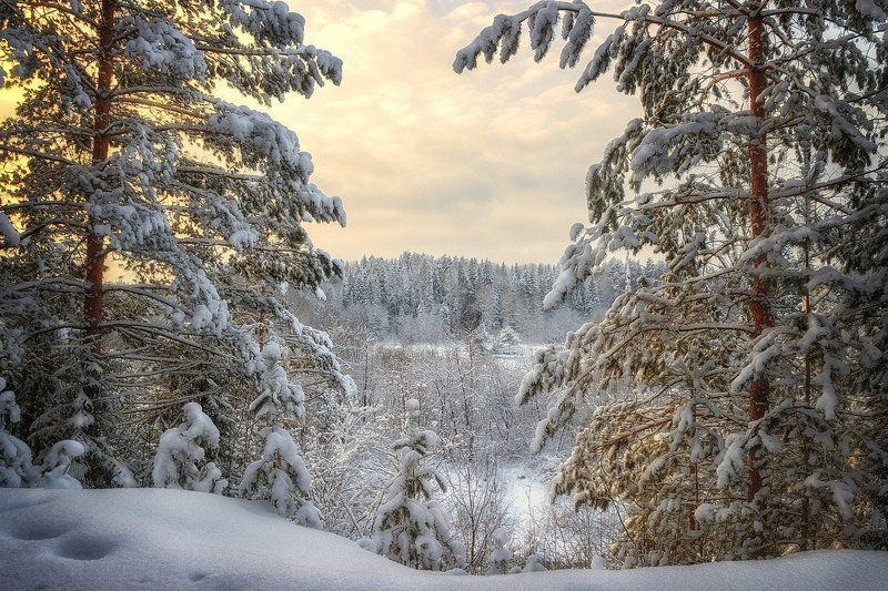 Завороженно любуюсь... фото превью