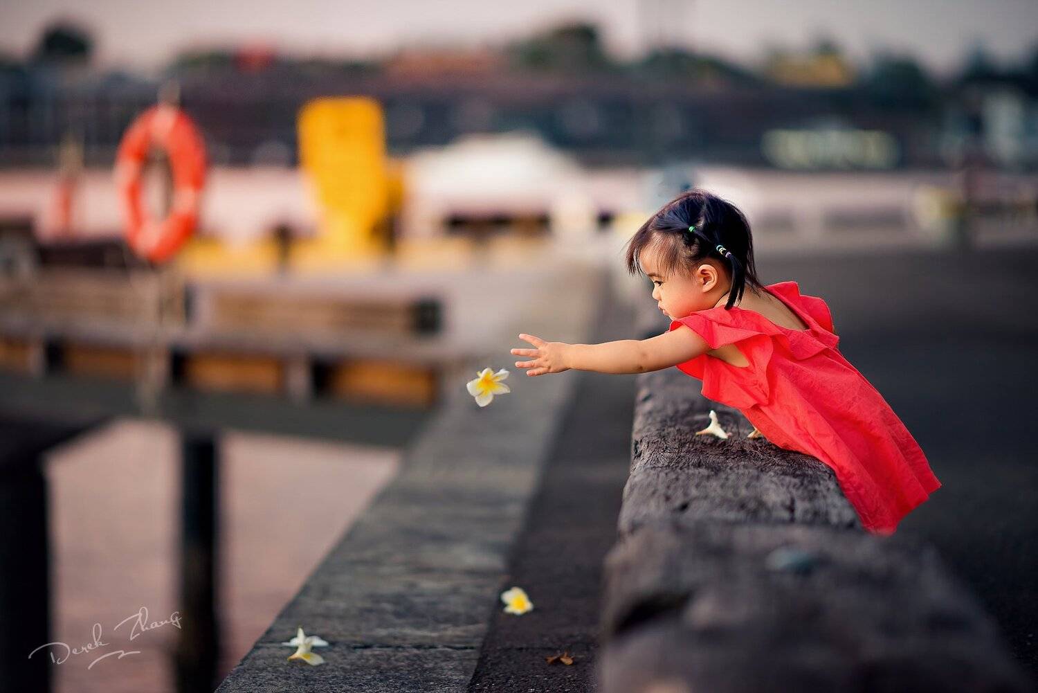 girl, sunset, red, yellow, kid, moment, catch, flower, Derek Zhang