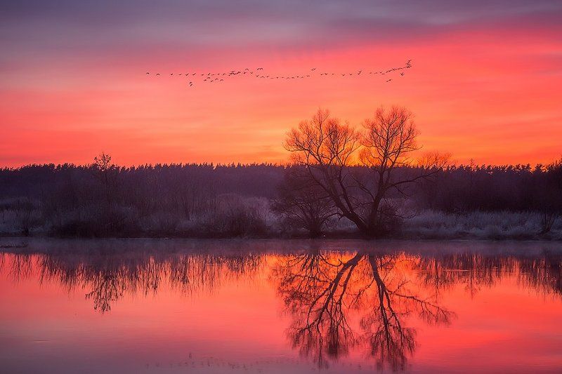 Весна - красна. фото превью