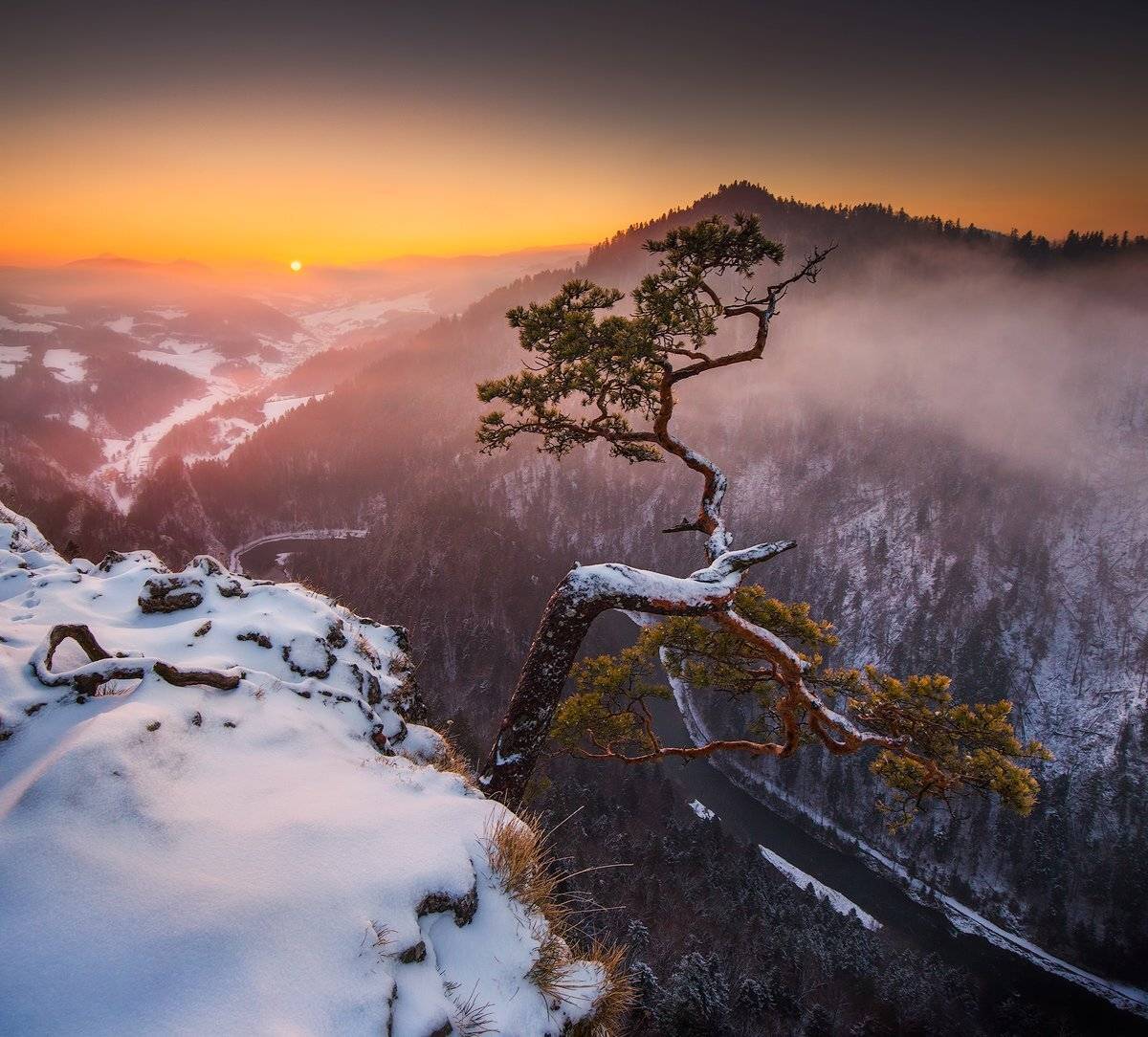 Sokolica. Автор: Pawel Uchorczak , Pawel Uchorczak