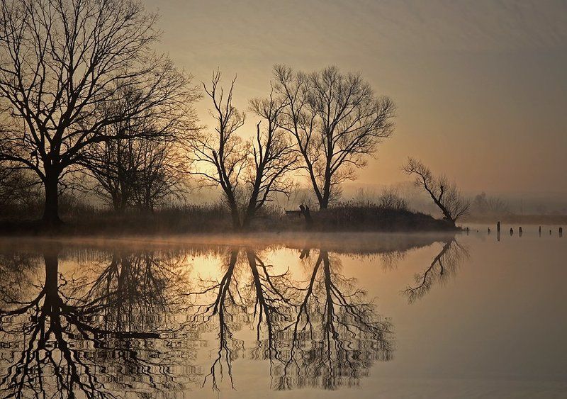 ... фото превью