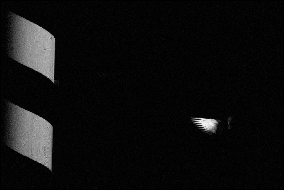 , Krzysztof Trojanowski