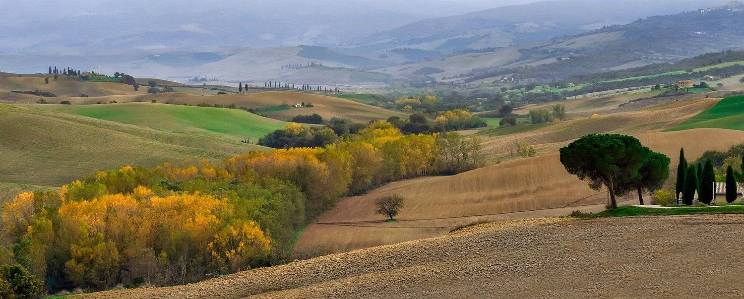 toskana, Игорь Дубровский