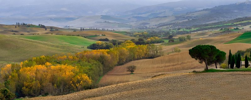 toskana  фото превью