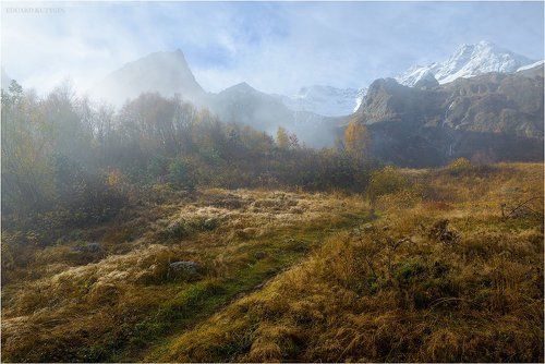 Туманное утро