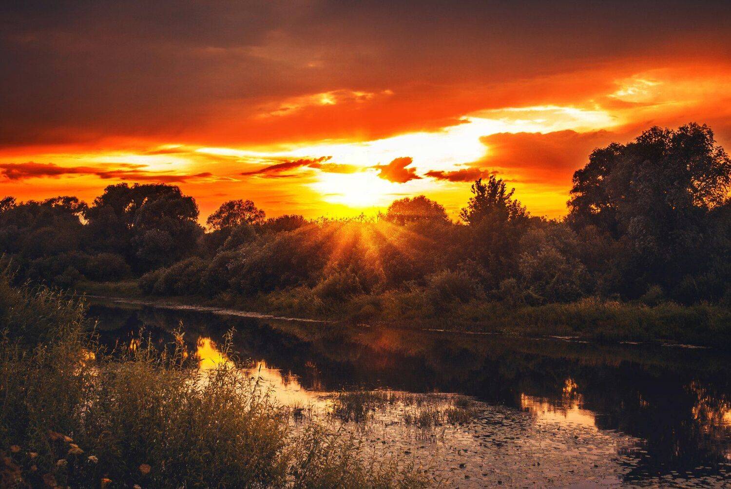 фото, природа, закат, лес, гроза, лето, Екатерина