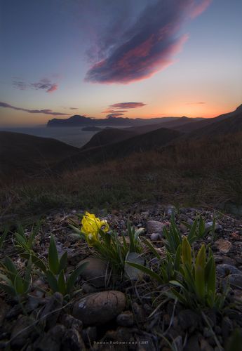 Весна цветет