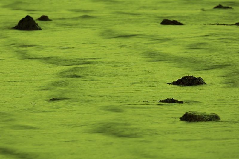 Композиция №12 фото превью