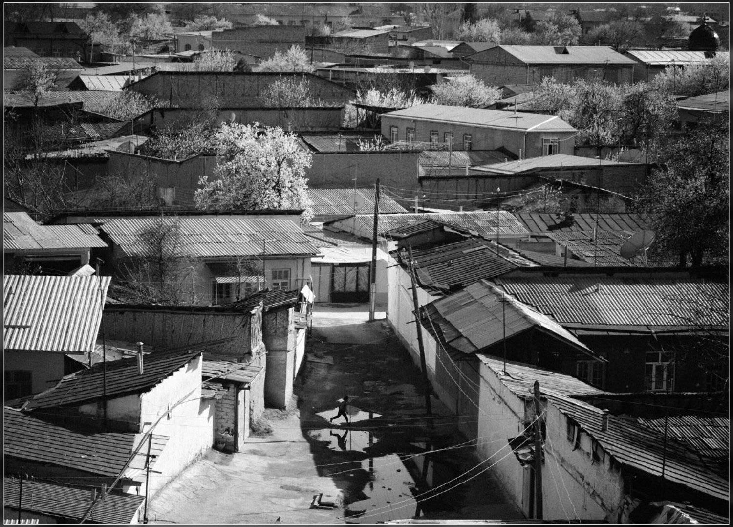 , Ильдар Садыков