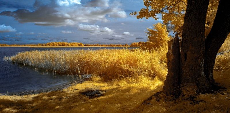 Про солнечное настроение. Инфракрасная фотография. фото превью