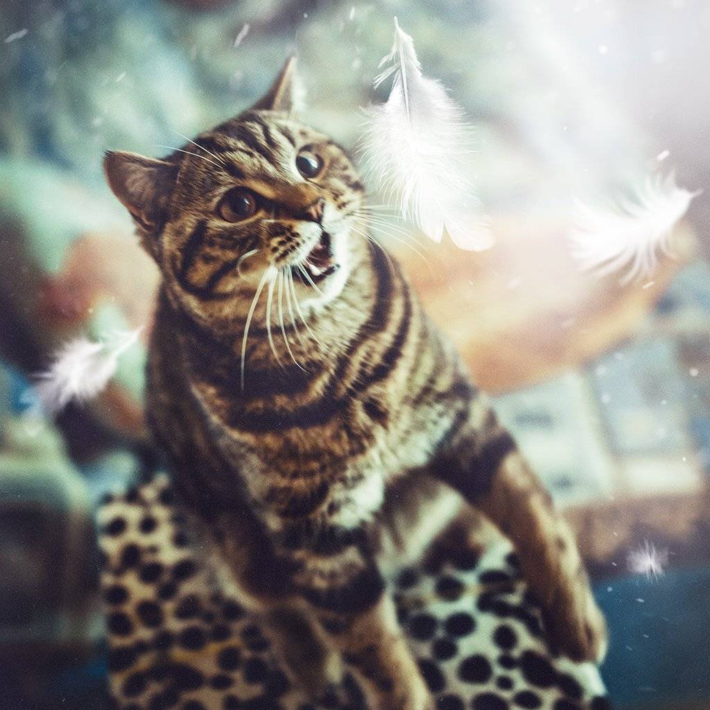 , Рублёв Дмитрий