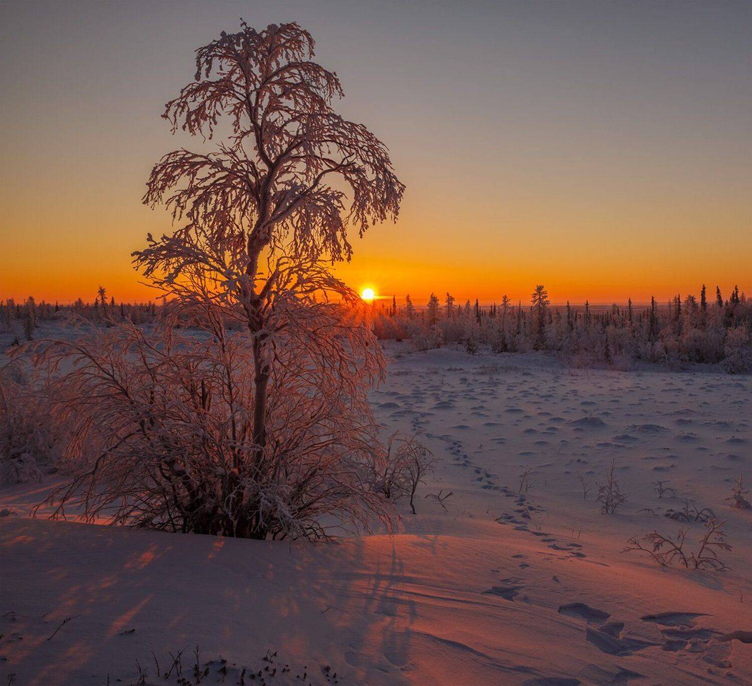 , Евгений Кужилев