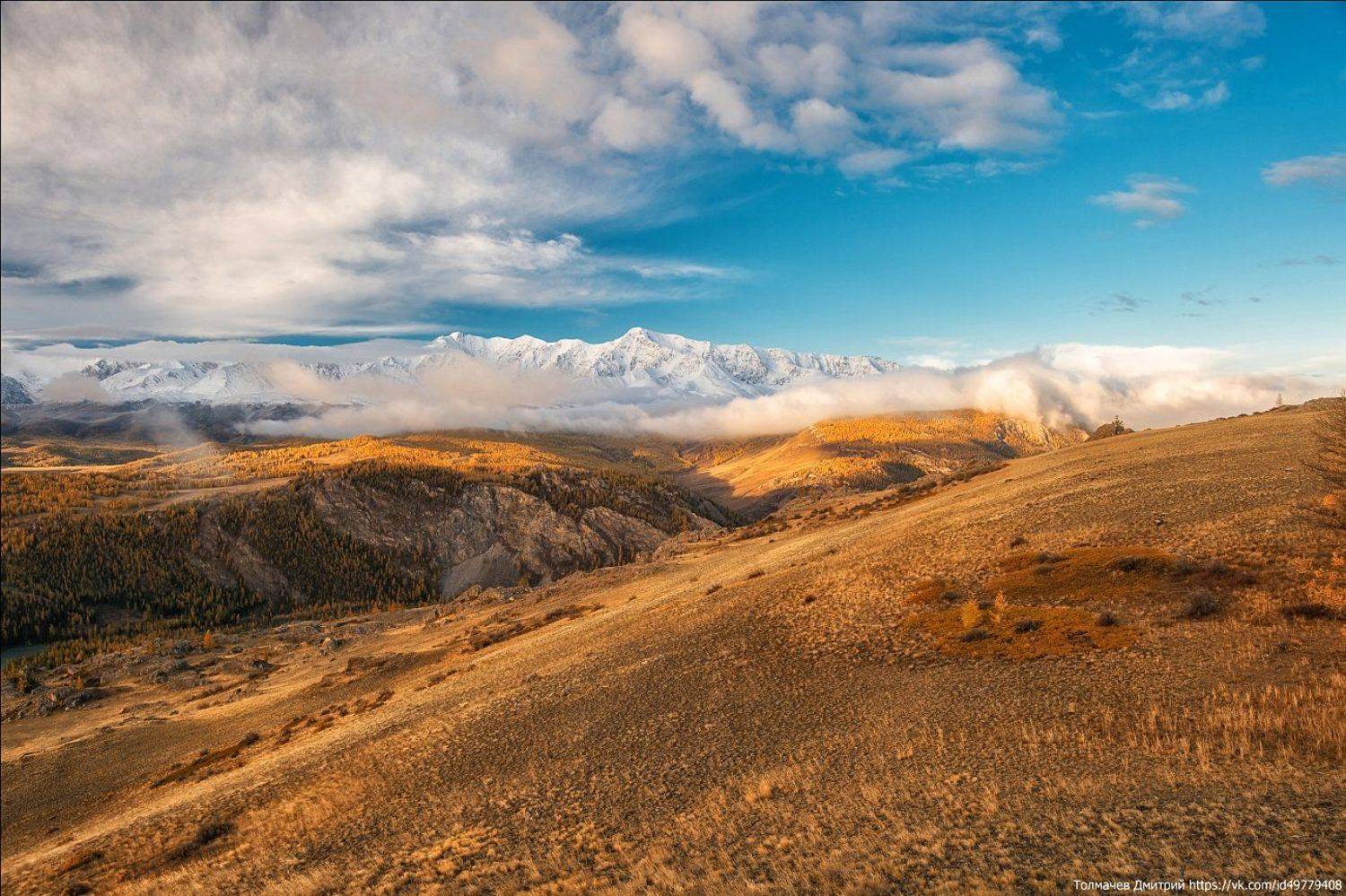 , Толмачев Дмитрий