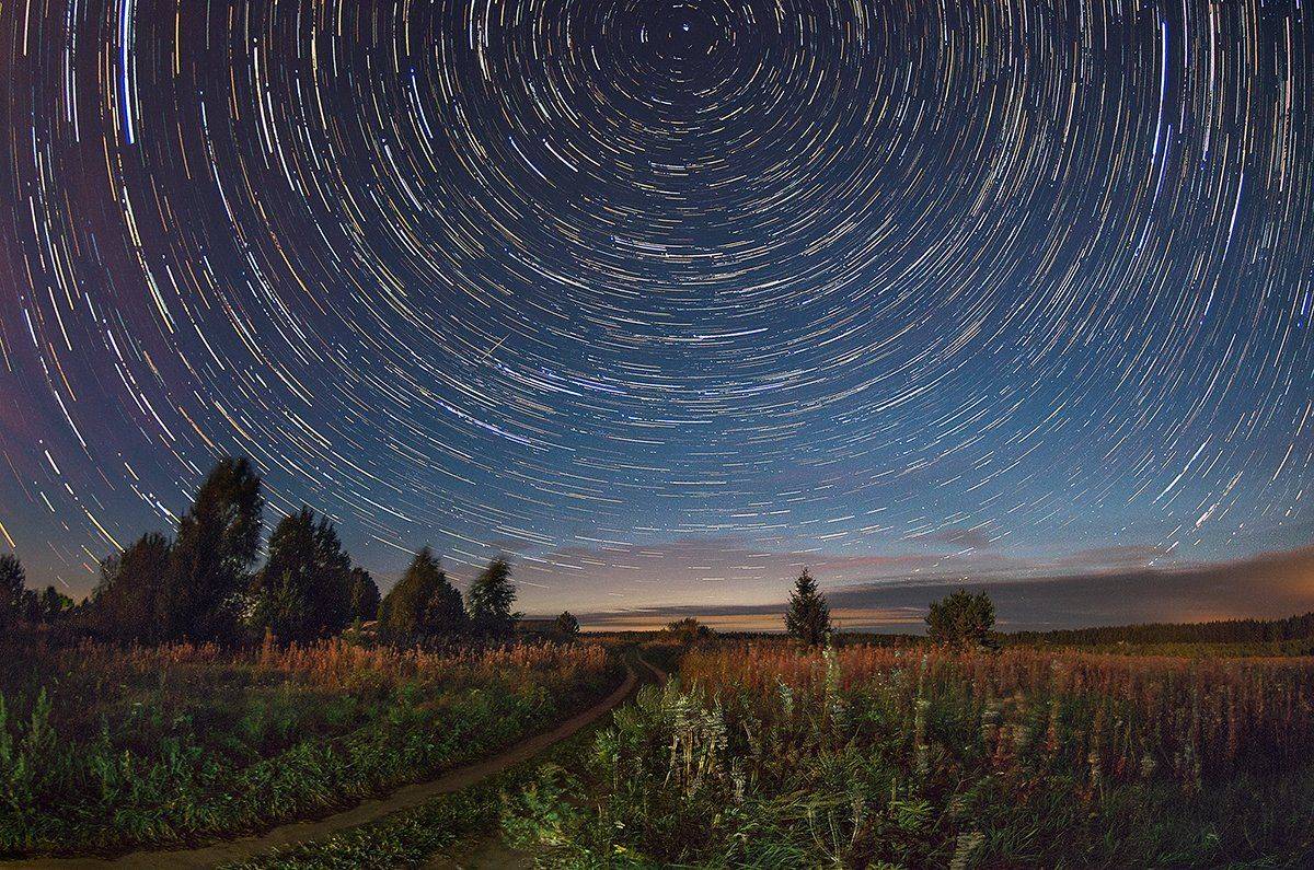 , Марина Мурашова