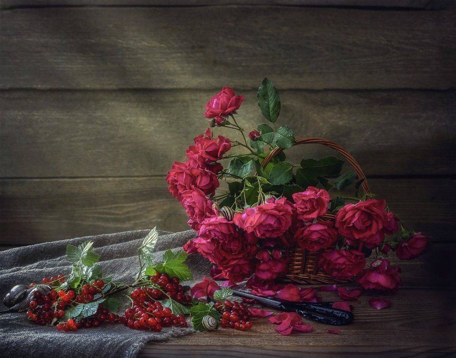 натюрморт, розы, ножницы, улитки, красная смородина, корзина, Ирина Приходько