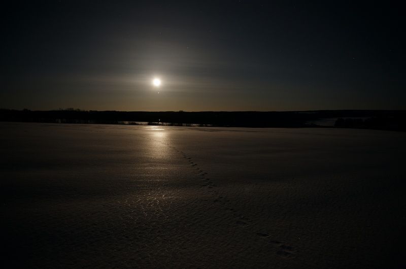 лунная дорожка фото превью