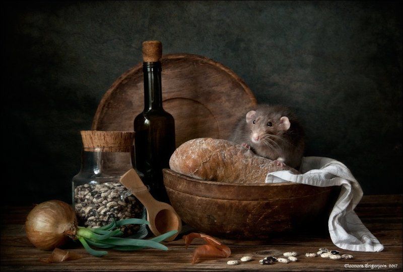 декоративная крыса, дамбо, натюрморт, крысиные истории, хлеб, фасоль, весна, луковица, винтаж, ретро, деревянная посуда Хлеб без сыра - не еда фото превью