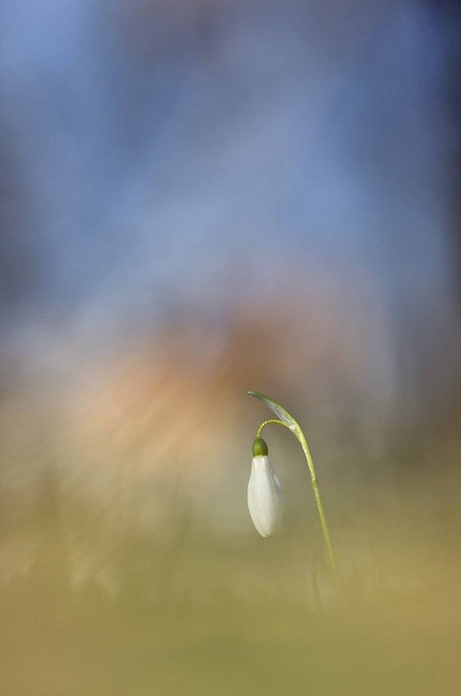 , Иваненко Светлана