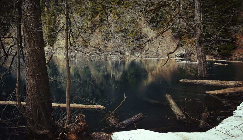 R e v e n a n t фото превью