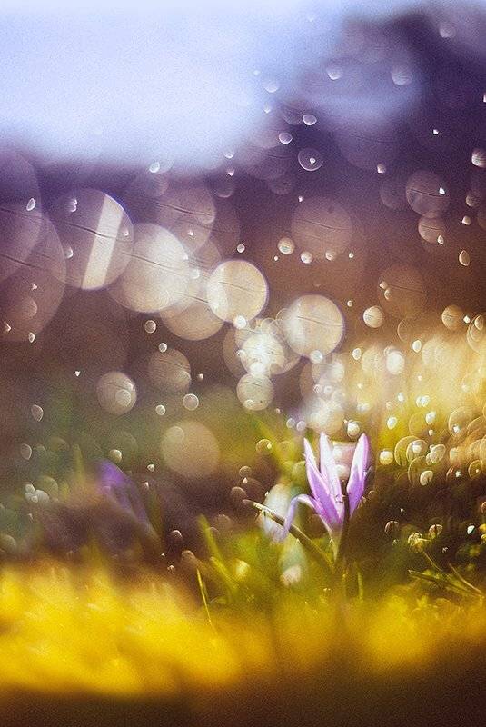 , Татьяна Аверина