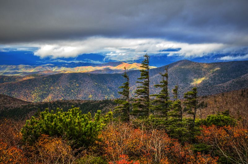 Горы, елки, приморье, Приморский край Стражники фото превью