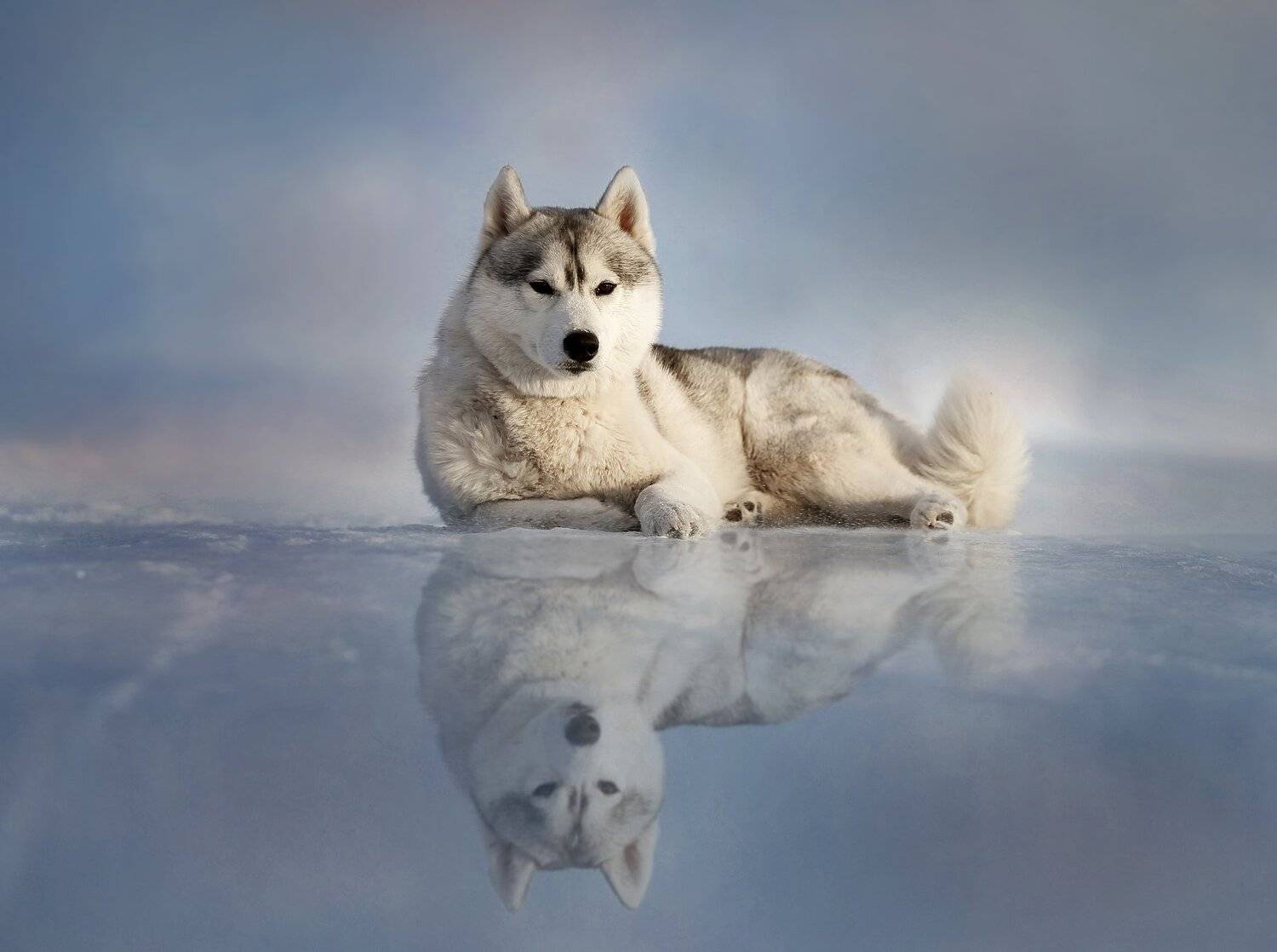 , Андрей Ершов