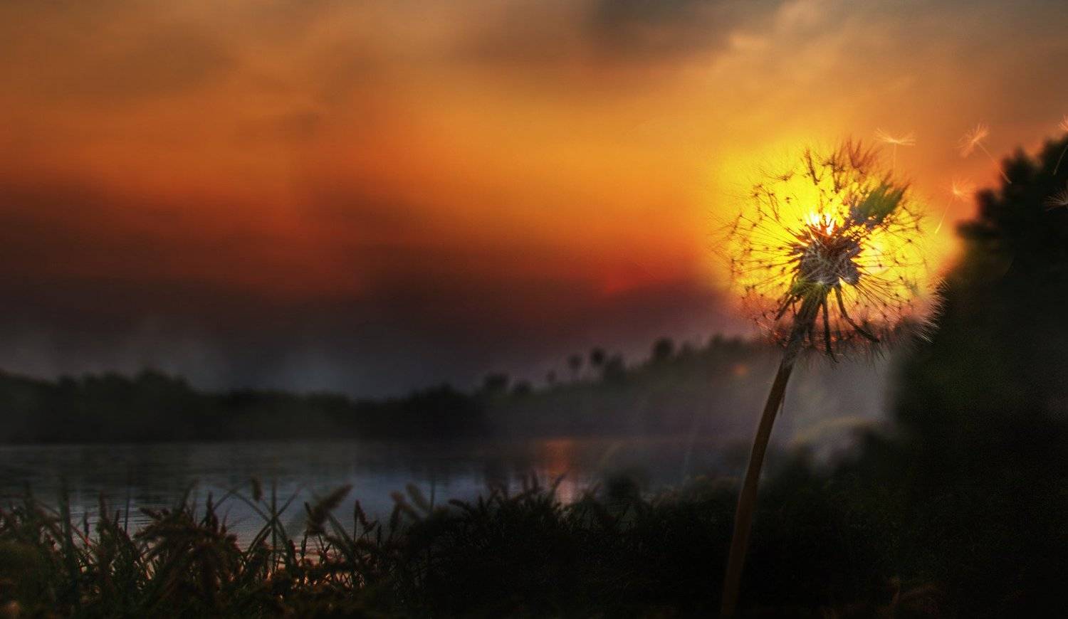 , Антон Шевченко