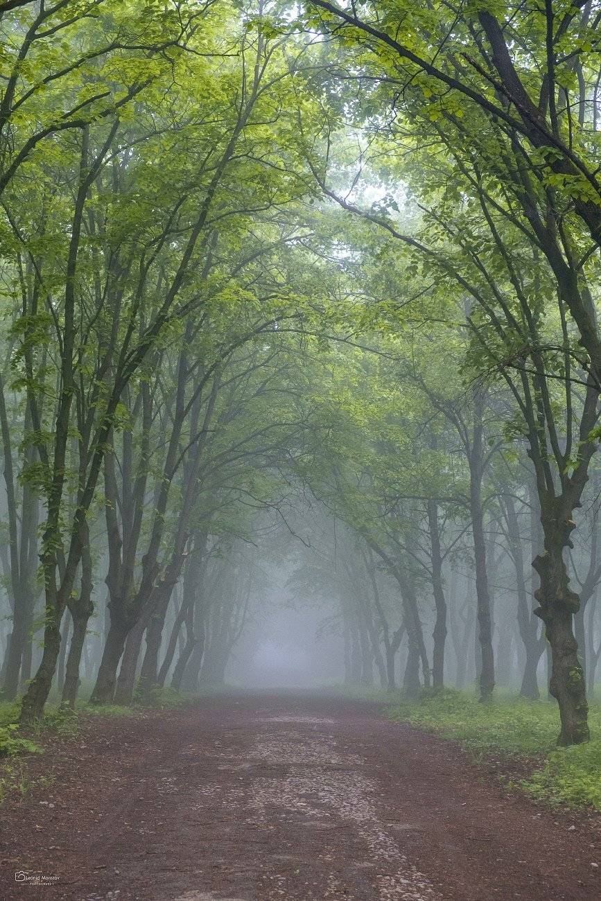 , Леонид Морозов