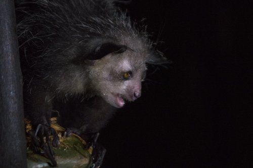 Красота - страшная сила!