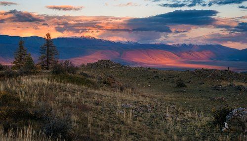 Сидя на Курайском холме…