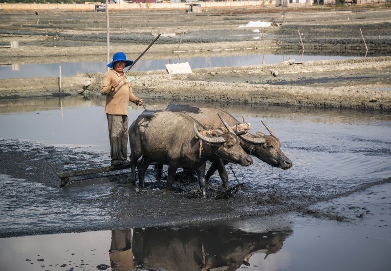 Тяжелый труд фото превью