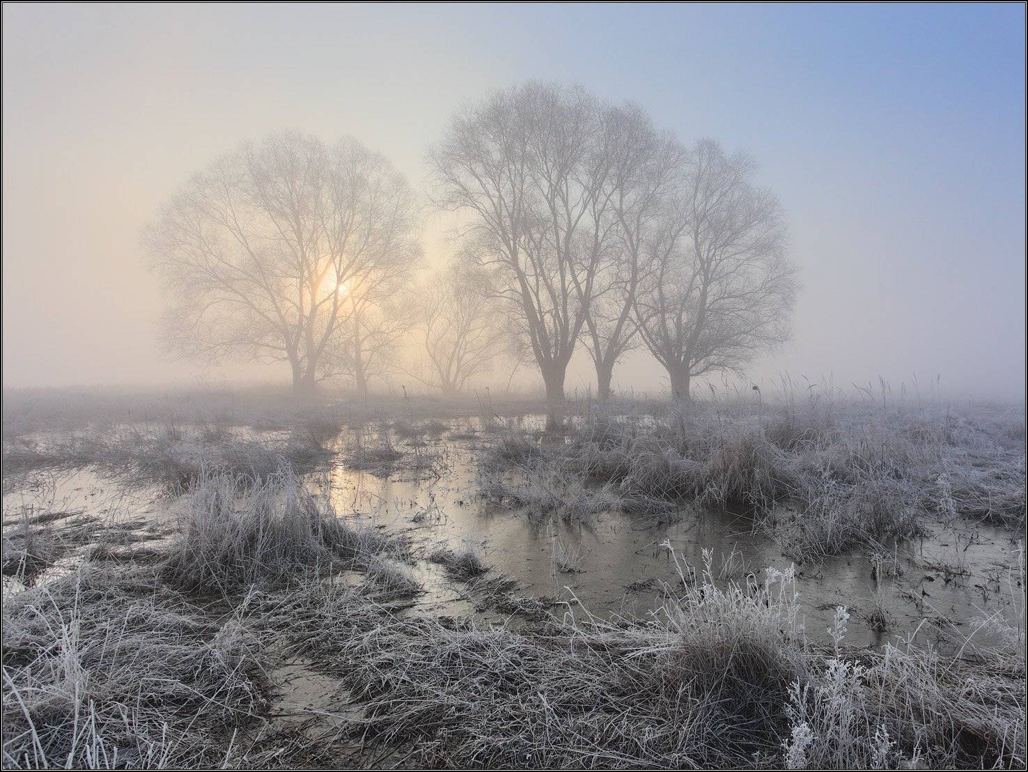 Туман солнце половодье, Михаил (mgk)