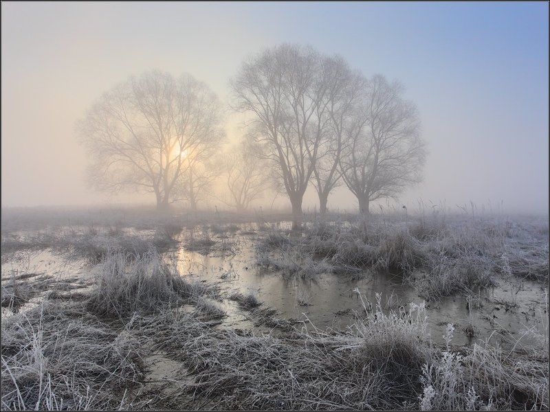 Туман солнце половодье Половодье на р.Уды фото превью