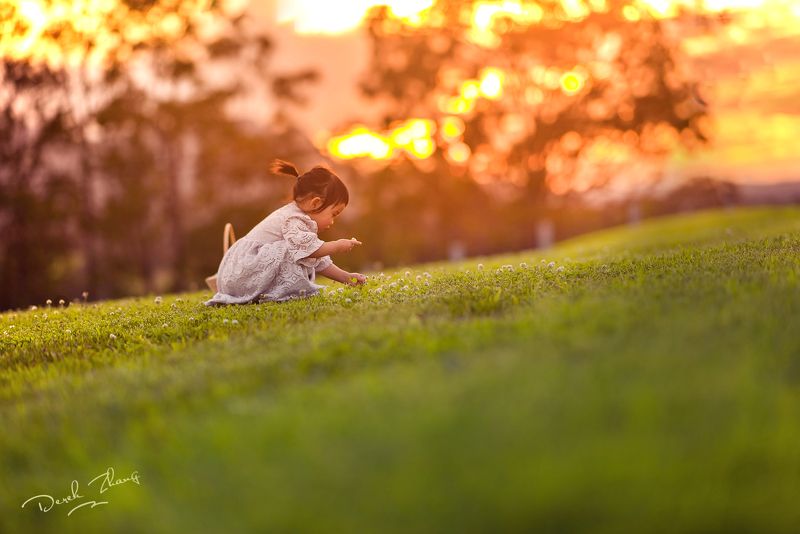 sunset, wild, flowers, field, kid, child, girl, fun, family sunset wild time фото превью