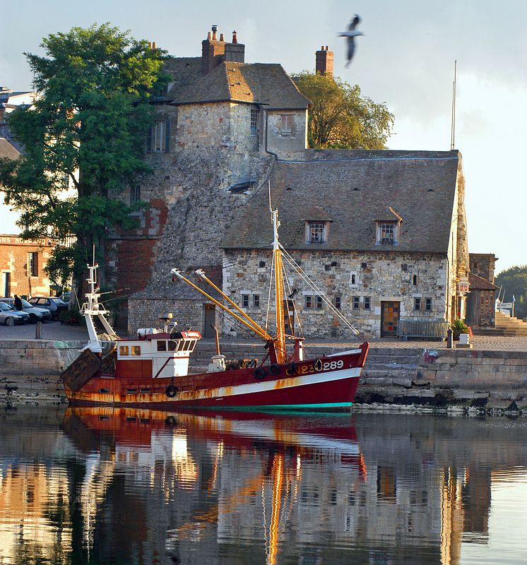 Отражение цвета  (серия, цвет) фото превью