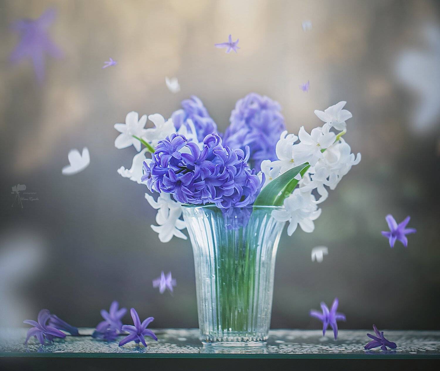 , Инна Сухова