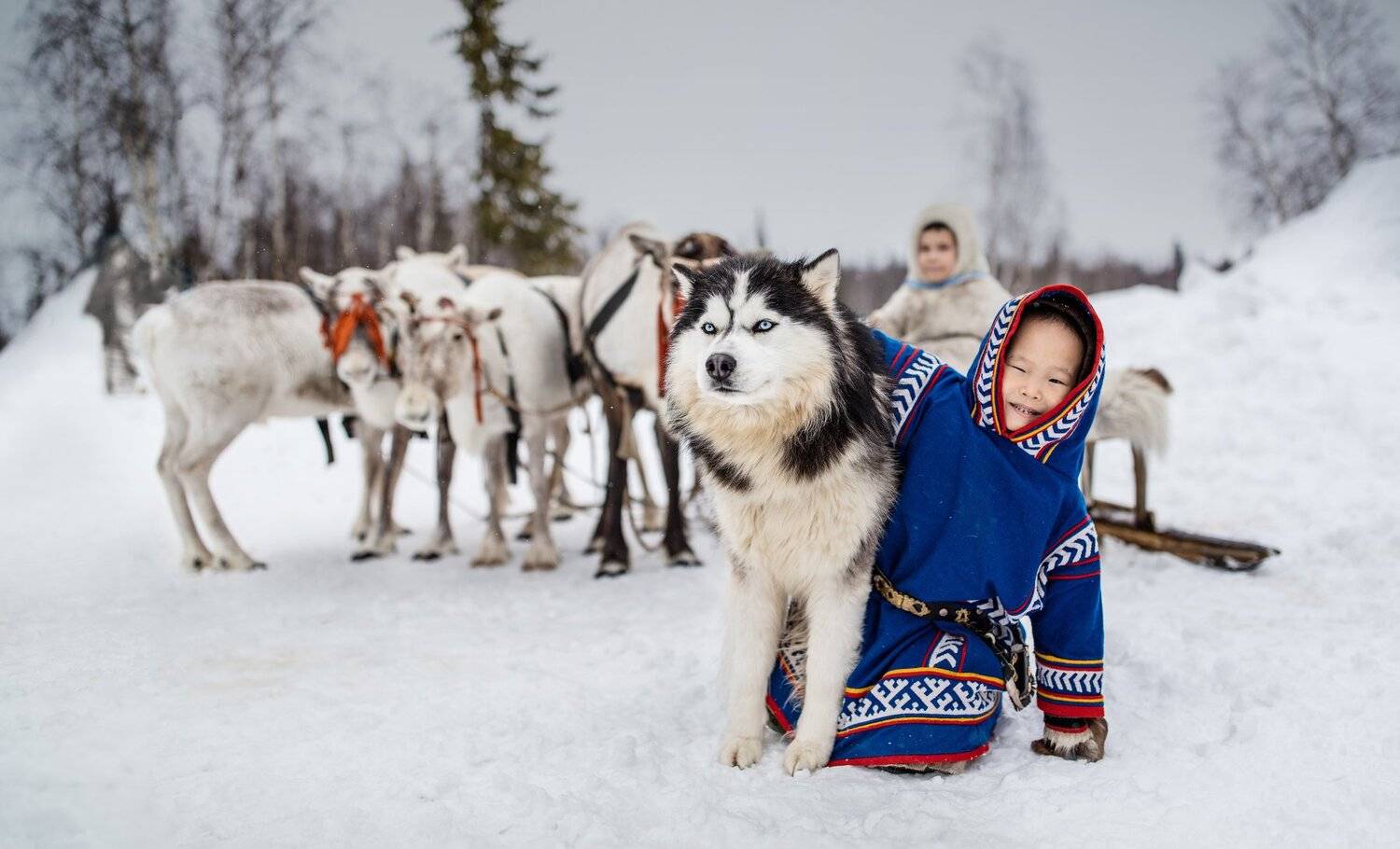 Ямал, олени, собаки, дети, Алексей Сулоев