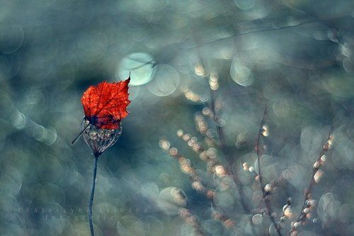 Z duszą na ramieniu