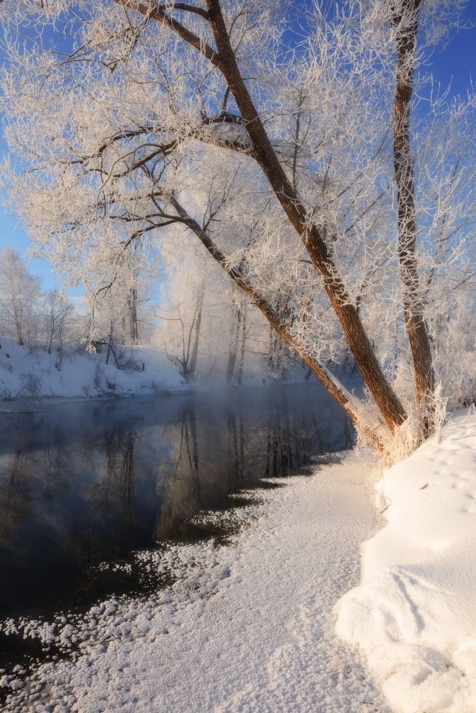 , Евгений Цап